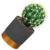 Dekorativa blommor konstgjorda kaktus falska saftiga växt livtro figur liten krukut dekor för sovrum prydnad pp plock chritmas
