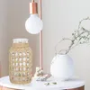 Vasi Vaso in vetro rattan Fiore intrecciato Ornamento da tavolo Disposizione Decor Contenitore per ornamento