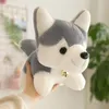 L'oreiller en peluche le plus vendu, cloche assise, jouet en peluche Husky, chien de traîneau, poupée chiot, vente en gros de cadeaux pour enfants, livraison gratuite DHL/UPS