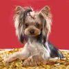 犬のアパレル10 PCSペットラバーバンドヘアバンドタイパーティークリスマス装飾品の子犬の小さな犬の浴室の飾り