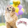Hundkläder husdjur hårnål hög hållbarhet ultralätt allergi gratis bedårande lätt bärande dekorativ plast frukt jordgubbsstil vidd