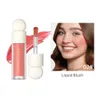 Multifunktionaler Makeup Blush Highlighter Pen Iluminador Shimmer Liquid Glow Matte Natural Brightening Face Con Makeup Set 240319