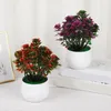Dekorativa blommor konstgjorda blomma växter krukta rosen bonsai simulerade kontor trädgård skrivbord prydnad dekor hem bord dekoration