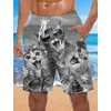 Pantalon de plage en vrac Pantalons de surf de plage Summer Smoke Pattern Trendy Mens Shorts