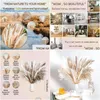 Decorative Flowers & Wreaths Dry Pampas Grass Decor 92Pcs Tall Dried Flower Bouquet Drop Delivery Home Garden Festive Party Supplies Dh9Yh