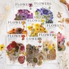 Hediye Sargısı 320 Parça Preslenmiş Çiçek Tema Sıkıştırıcıları Set kurutulmuş çiçekler reçine çıkartmaları Çiçek Botanik Gazetecilik
