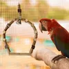 Other Bird Supplies Pet Chewing Toy Swing Toys Parrot Hanging Ring Wooden Stand Cage Training Accessory Daily