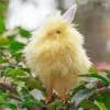 Party-Dekoration, schöne Ostern-Huhn-Ornament, kleine gelbe Dekorationen für den Familientisch zu Hause