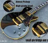 Elektrische gitaar puur zwart Alnic hoogglans pickup hoog niveau kleine brug pin en topkam gele binding ebbenhout Fi