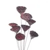 Flores decorativas mini lótus planta seca diy artesanato acessórios buquê floral plantas naturais flor