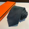 Designer stropdassen heren highend merk zijde handgeborduurd zakelijk casual stropdas dagelijks luxe herencadeau