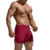 Herren-Shorts, L-Brett, Herren-Bademode, 38, Sommer, Meer, Freizeit, Sport, Laufen, Mode, Kordelzug