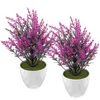 Flores decorativas 2 piezas decoración de escritorio planta de dibujos animados bonsái en maceta adornos plástico modelo de flor artificial mesa