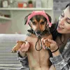 犬のアパレルペット野球帽子帽子バケツ帽子子犬サンキャップヘッドドレスコットンと女性のためのカウボーイハット