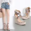 Sandalen Sommer Frauen Plattform Sandalen Gladiator Mode High Heels Keile Espadrilles Schuhe Damen Open Toe Sandals Serpentine