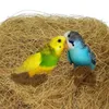 Decorative Flowers Bird's Nest Coconut Fiber Mat 100g Natural Husk Flowerpot Cover Nesting Material For Birds Doves Finches