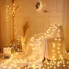 LED Snaren 3 Meter Bal Guirlande Verlichting Draagbare Kerst 3D Decor Lamp DIY Decoratie Fairy String Outdoor YQ240401