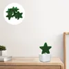 Dekorativa blommor 6st Diy Moss Bonsai Garden Topiary Star Shaped Wedding Party Decoration