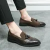 Casual schoenen Loafers Heren Slip-on Lente herenschoen Mode voor zacht rijden Mocassins Flats Mannelijke kwast