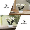 Flores decorativas Simulação Phalaenopsis Flor Falsa Artificial em Vaso Planta Bonsai Vaso Falso