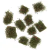 Fiori decorativi 10 pezzi di grappoli di erba fatti a mano modelli per interni finti lattina di vetro in plastica in miniatura