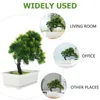 Decorative Flowers Simulated Potted Plant Fake Mini Bonsai Tree Simulation Desktop Pine Pp Plants Living Room Green