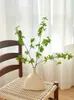 花瓶シミュレートされた緑の植物馬酔った木材リビングルームの花の花のアレンジダイニングテーブル装飾セラミック花瓶の装飾品