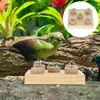 Outros suprimentos de pássaros Playset de madeira Papagaio Treinamento Brinquedos Interativos Conure Stack Periquito Acessório Fornecimento Doméstico