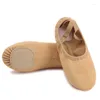 Dance Shoes Professional Stretch Ballet For Women Girls Split Soft Sole Canvas Slippers Elastic Fabric