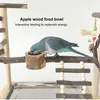 Autres fournitures d'oiseaux Playground Cage résistante aux morsures Ajouter sur le support de table de perroquet avec tasse d'alimentation Échelle de jouet Cocktail Plateau de balançoire d'escalade