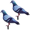 Décorations de jardin 2 pcs Simulé Pigeon Ground Plug Décor de la maison Yards Décoratif Décorer Back Stake Stakes Acrylique Signe Matchs