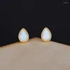 Brincos de garanhão CCFJOYAS 925 prata esterlina opala colorida para meninas mulheres minimalistas fofas mini joias de ouro
