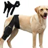 Cão vestuário ajustável joelheiras recuperação de lesão suporte fixo cinta confortável perna traseira quadril joint cuidados envoltório