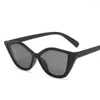 Vendita di occhiali da sole da donna Cat Eye Shape Protezione UV400 Occhiali da sole da donna Occhiali da sole vintage retrò femminili