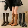 Laarzen vintage Rivet Knee High Boots Dames 2023 Nieuwe Knight Long Boot Ladies Cowboy Flats Solid Female Shoes Back Zipper Herfst Winter