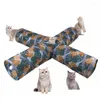 Gato brinquedos gatos túnel dobrável pet kitty treinamento interativo divertido brinquedo entediado para filhote de cachorro gatinho jogar tubo entrega entrega dh7dm