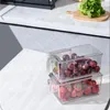 Storage Bottles Fridge Organizers And Clear Container With Handles Small Large Sized Refrigerator Organizer Bins For Fruit