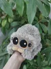 Dessin animé mignon loup araignée en peluche poupée Simulation araignée en peluche jouet décoratif cadeau inventaire cadeau de vacances livraison gratuite DHL/UPS