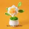 Decorative Flowers Wool Knitted Gardenia Small Potted Wild Camping White Dining Table Party Eternal Flower Decoration Simulation