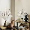 Flores decorativas naturais secas pampa grama buquê boho decoração de casa phragmites para casamento decoração ramadan