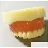 Altro Igiene orale Modello dentale Fl Protesi magnetica Attacco superiore inferiore Studio Mandibar 230919 Consegna a goccia Salute Bellezza Dhyrv