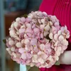 Fiori decorativi Bouquet artificiale di ortensie finte con fiori rosa viola per matrimoni