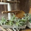 Dekorativa blommor konstgjorda ananasgräs luftväxter falska som hemväggsdekoration