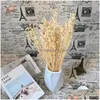 Wedding Decorations Decorative Flowers Natural Dried Linen Grass Bouquets Preserved Real Plants For Home Room Decor Diy Material Dec Dhfvb