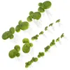 Decorative Flowers 18 Pcs Decor Imitation Plants Pond Scenery Miniature Fake Duckweed Aquarium Grass Artificial Leaf