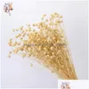 Wedding Decorations Decorative Flowers Natural Dried Linen Grass Bouquets Preserved Real Plants For Home Room Decor Diy Material Dec Dhfvb