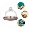 Plates Mini Dessert Plate Containers Fruit Dish Cake Tray Wooden Cover Kit Glass Tableware The Bell Jar