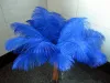 Wholesale a lot beautiful ostrich feathers 25-30cm for Wedding centerpiece Table centerpieces Party Decoraction supply 2024401