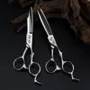 Ciseaux à cheveux Titan outils de barbier professionnels ciseaux livraison directe produits soins style Otva0