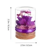 Fiori decorativi Ornamento floreale conservato Paralume in vetro Regali di Natale Copertura in borosilicato LED Rosa simulata Mini rose